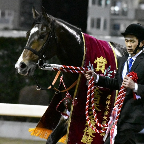 全日本2歳優駿優勝 ノーヴァレンダ