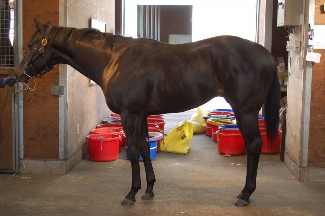 NF空港 ニードルズアイ