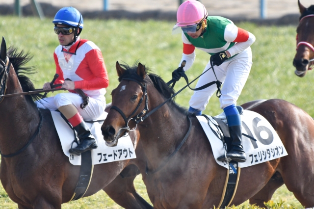 2019.01.19 新馬 フェリシタシオン