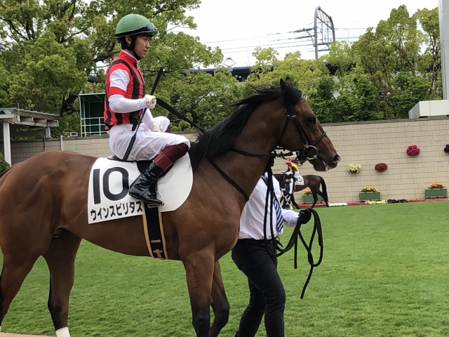 パドック ウインスピリタス