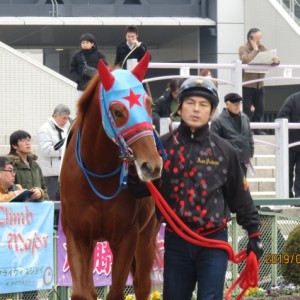 2019.1.12_3歳未勝利戦_パドック(1)