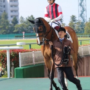 デビュー戦を迎えるも跛行のため競走除外