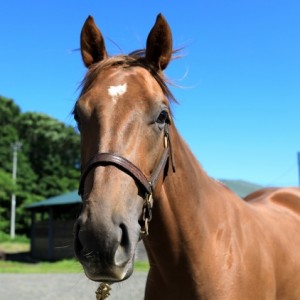 2018年7月 ファンタスト内木村牧場