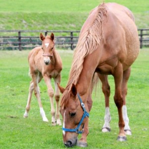 2016年5月 生後1ヶ月