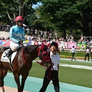 オルダージュ新馬戦パドック②