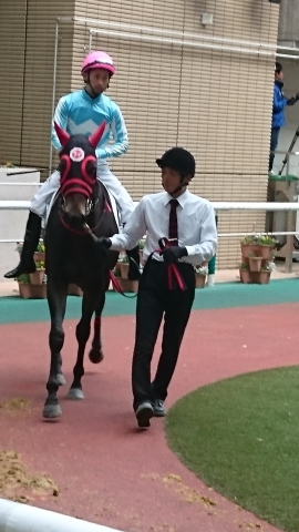 福島未勝利パドック③ オルダージュ