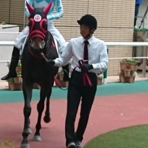 福島未勝利パドック③