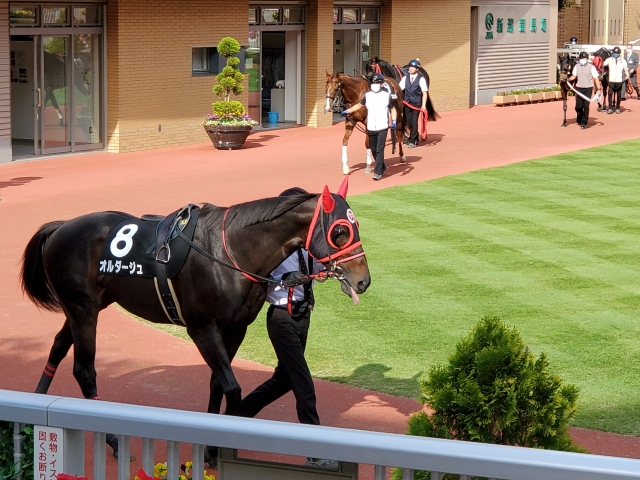 稲光特別パドック オルダージュ