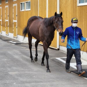 ノルマンディーファーム小野町