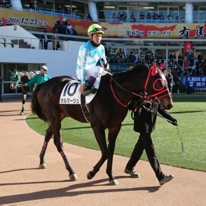 中山・2歳未勝利パドック