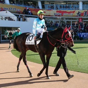 中山・2歳未勝利パドック