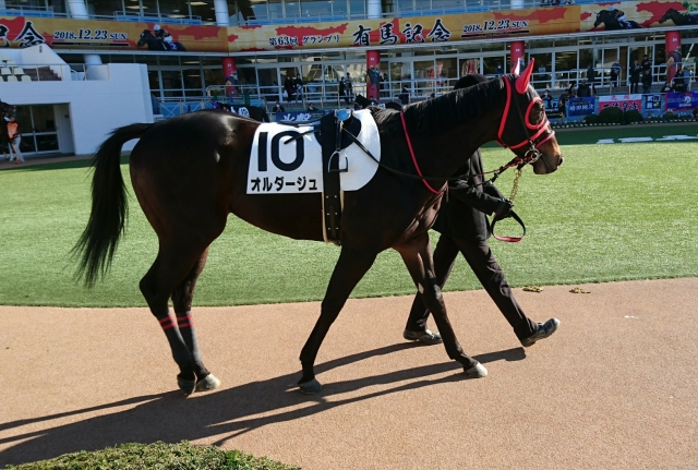 中山・2歳未勝利パドック オルダージュ