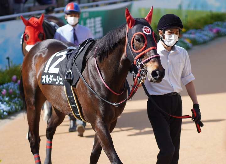 2022/4/9 船橋S(3勝クラス) オルダージュ