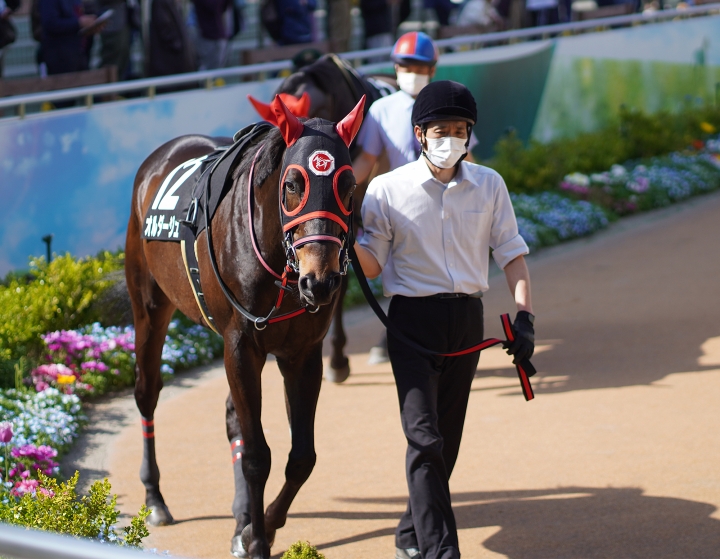 2022/4/9 船橋S(3勝クラス) オルダージュ