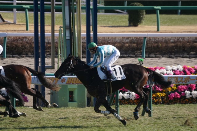 ゴール前 ダークオブザナイト