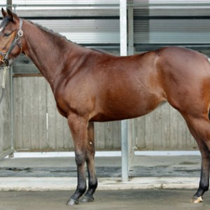 グランヴィクトリア