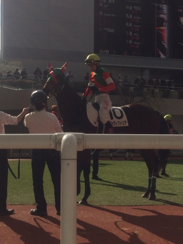 新馬戦パドック グランヴィクトリア