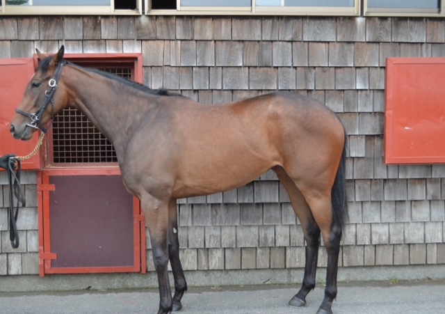 ファンタストクラブにて アドレ