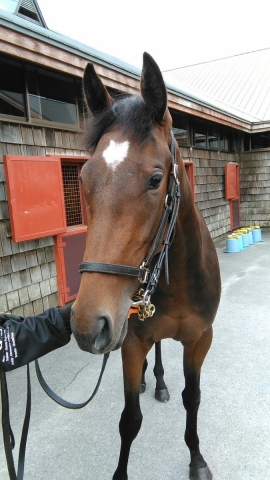 ファンタストクラブにて アドレ