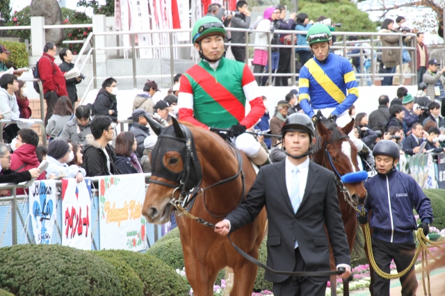 パドック ローブドゥネージュ