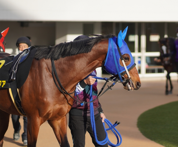 2021/12/5 ラピスラズリS(OP) ロードアクア