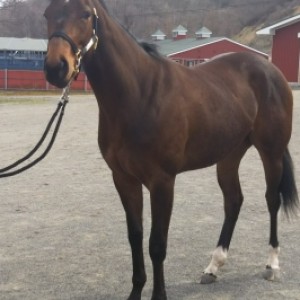 2018年4月展示会②