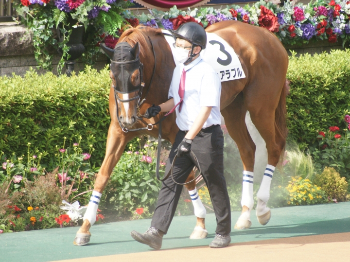2021/5/29 4歳以上2勝クラス デュアラブル
