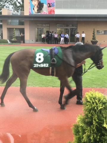 パドックにて スティルネス