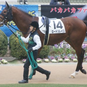 新馬戦パドック
