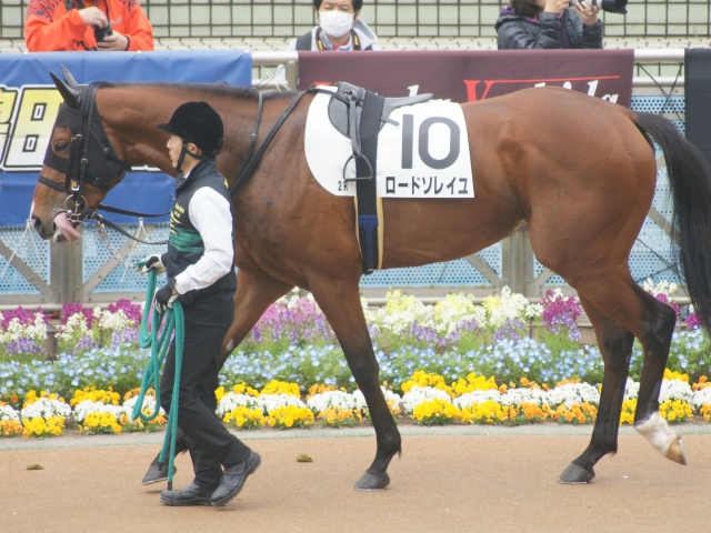 ３戦目パドック ロードソレイユ