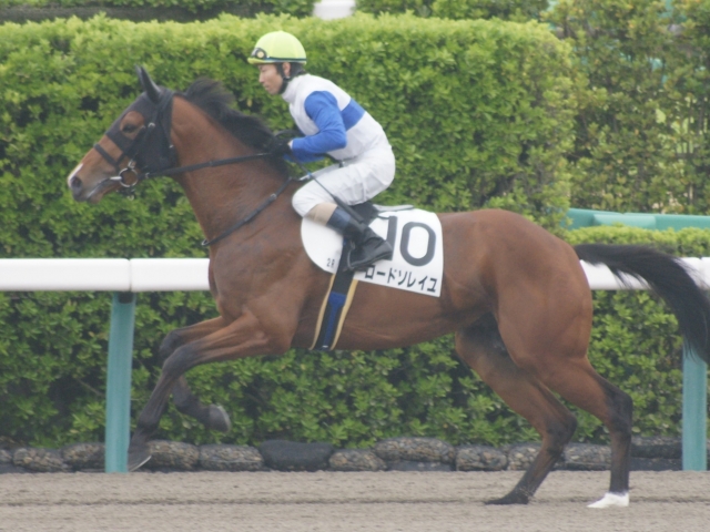 ３戦目返し馬 ロードソレイユ