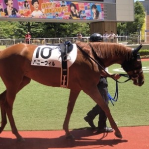 小倉新馬戦