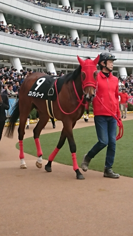 パドック2 エレナレジーナ