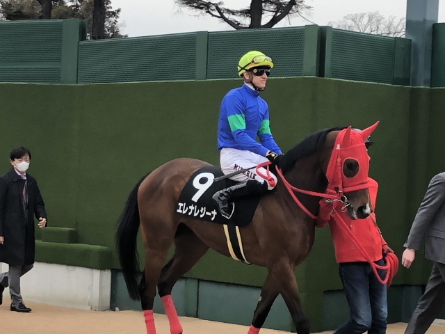 本馬場へ向かうエレナレジーナ エレナレジーナ
