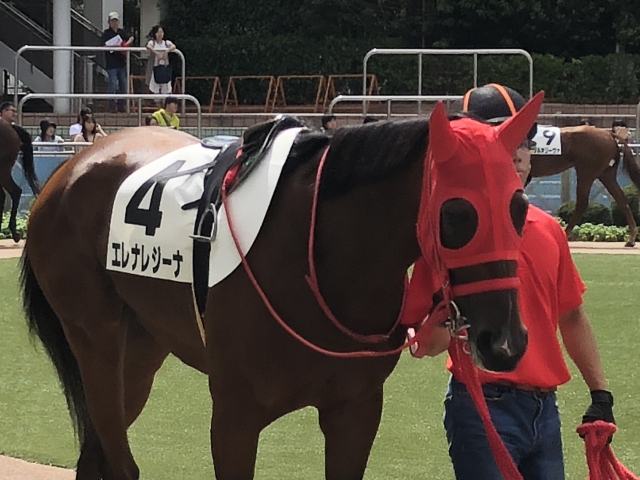 パドックにて エレナレジーナ