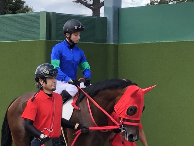 本馬場へ向かうエレナレジーナ エレナレジーナ