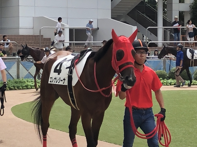 パドックにて2 エレナレジーナ
