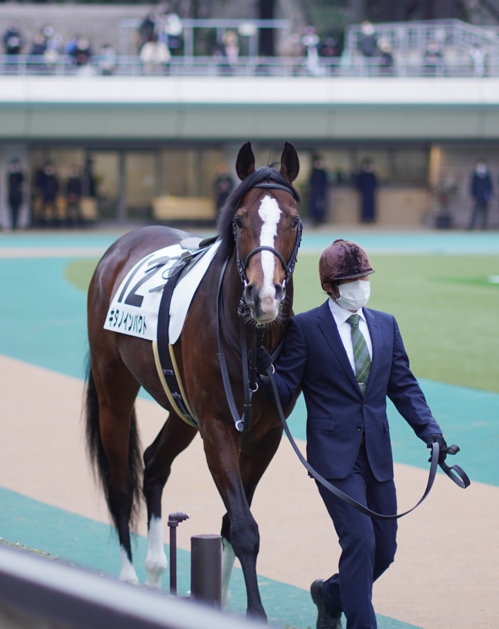 2022/2/19 4歳以上2勝クラス キタノインパクト