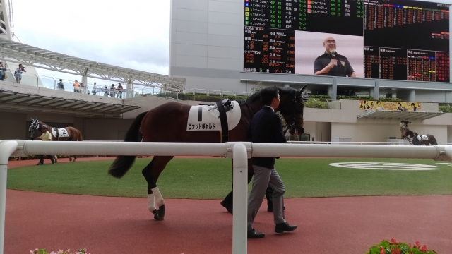 阪神新馬戦 ヴァンドギャルド