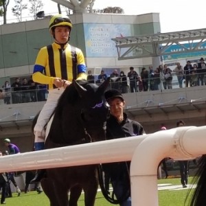 初勝利のパドック