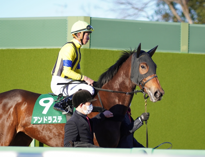 2021/12/18 ターコイズS(G3) アンドラステ