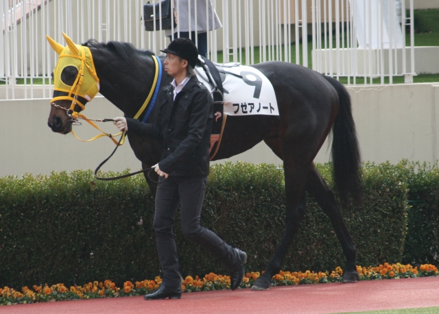 第１回小倉第１日３Ｒ３歳未勝利１２００Ｍ芝　パドック フゼアノート
