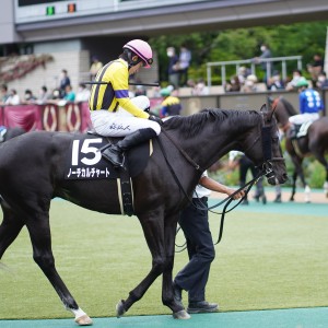 2022/6/11 ジューンS(3勝クラス)