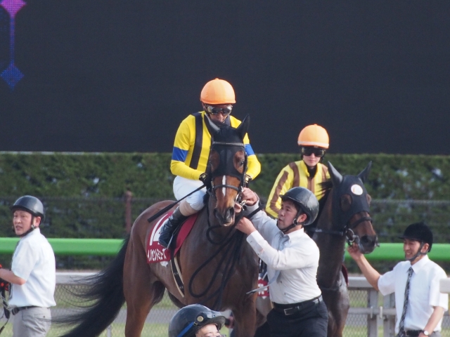 フローラＳ　本馬場入場 イノセントミューズ