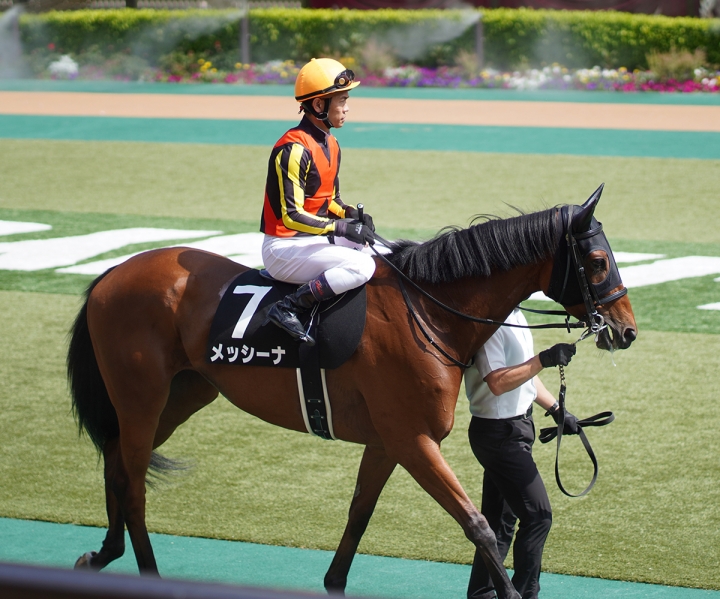 2021/6/12 芦ノ湖特別(2勝クラス) メッシーナ