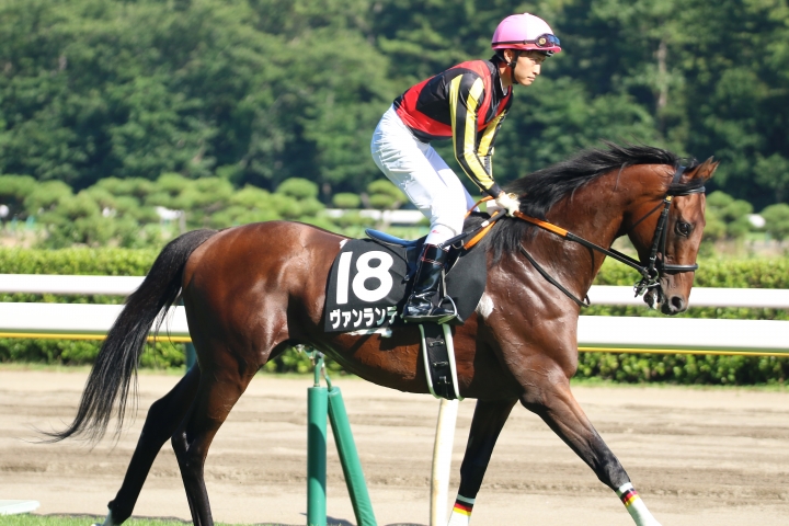 2022年7月 ヴァンランディ