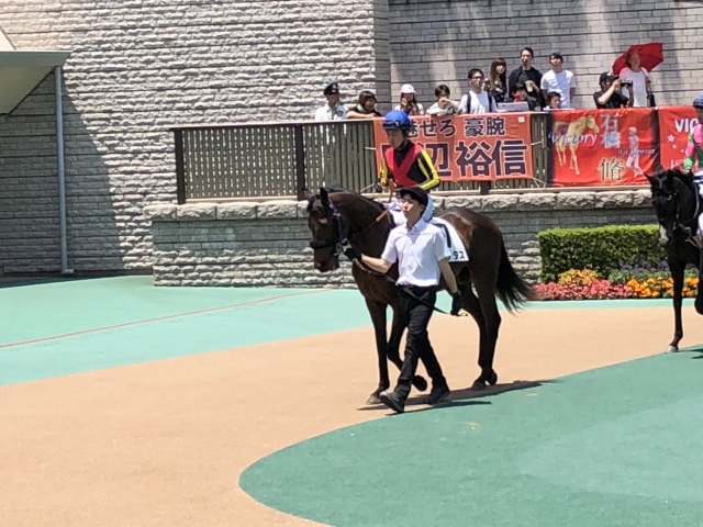 新馬戦パドック グラナタス