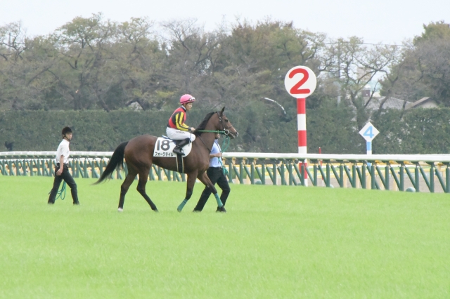場馬入場 フォークテイル