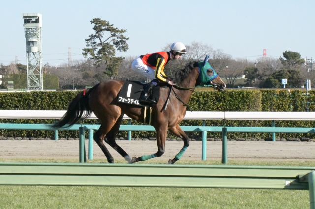 返し馬 フォークテイル