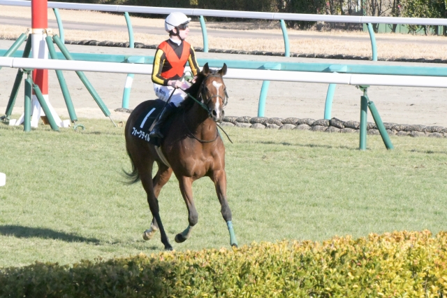 レース後 フォークテイル